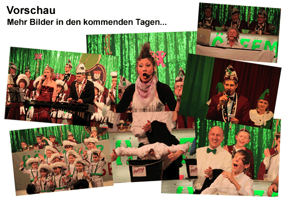 tl_files/bilder/2011/bilder_prunksitzung.png